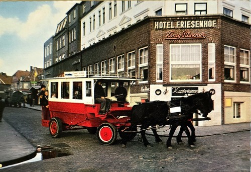 Juist nordsee pferde - ak,