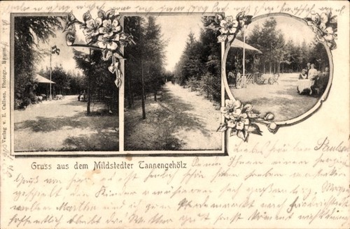 Passepartout mildstedt in - passepartout,