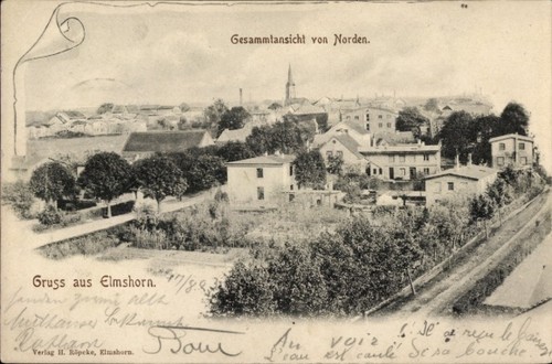 Elmshorn holstein - ak,