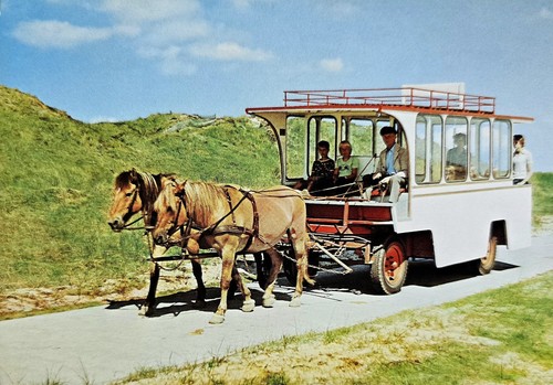 Juist pferdebus nordsee - juist,