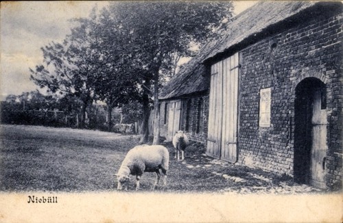 Niebüll nordfriesland - in,