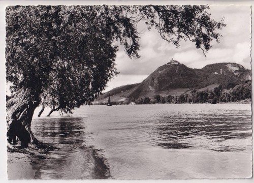 Am rhein das - -,